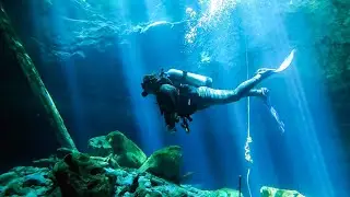 Paradise Springs Dive