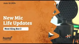 Life Update | New Mic Update | Neat King Bee 2