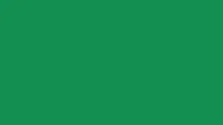 Moss - background, screensaver, mood colour screen for one hour