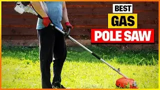 🌲 Best Gas Pole Saws 2026 &ndash; Top 6 Power Picks