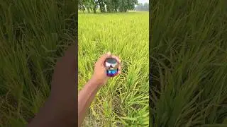 Mini speaker rice tree jump testing