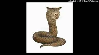 new wave snake type beat