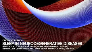 Human Brains Preserving the Brain - #11