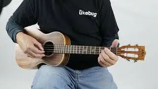 Kala KA-SA-B Solid Acacia Baritone Ukulele | The Ukebug
