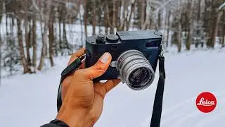 Leica M in 2026?