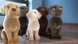 Pip   A Short Animated Film  144 X 144