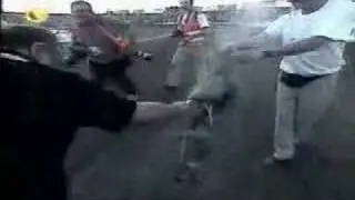 Final 2003 Włókniarz - Apator teledysk