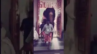 Malayalam pride song