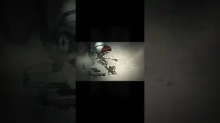 Cat meets vacuum cleaner (from game Stars in the Trash)