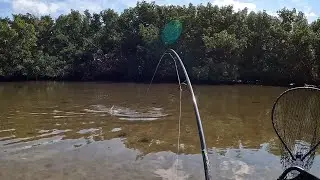 HOT BITE! Fishing with Live Crabs and Lures to Catch Dinner!