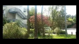 untitled #3 for cello and loops