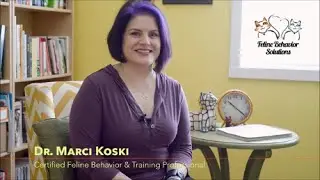 Welcome to Feline Behavior Solutions!