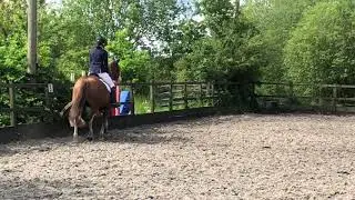 Louise Pateman Brolas Welsh Magic Novice 28