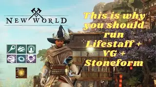 Why you should use a Lifestaff/Void Gauntlet/Stoneform as a healer!