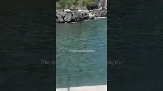 #louisamcmonigal #travel #australianmodel #viralvideo