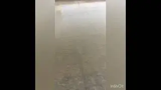 Taree Floods 2021