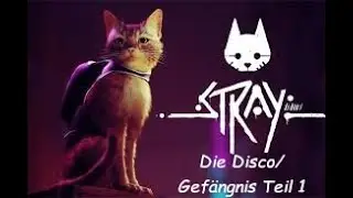Stray - Die Disco / Gef&auml;ngnisTeil1