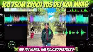 Top4 zaj nkauj remix zoo mloog 🐉🐉🐉[Aib Hai remix]