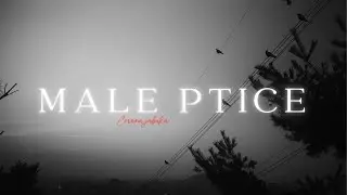Crvena jabuka - Male ptice (Visual)