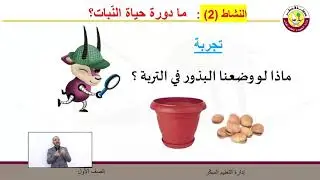 الصف الأول   العلوم   الكائنات الحي   ما دورة الحياة