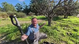 Power Meets Convenience &ndash; Professional Pruning Tools for Serious Gardeners