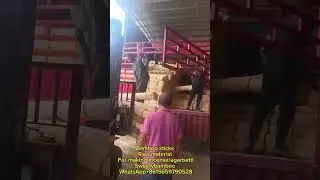 Bamboo sticks Raw material for incense stick/Agarbatti sticks