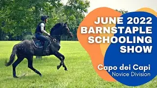 Capo dei Capi (Novice | June 2022 BarnStaple Schooling Show)