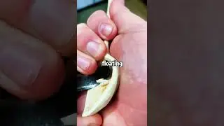 Part 1  #reddit #askreddit #redditstories #music #foryou #viralvide
