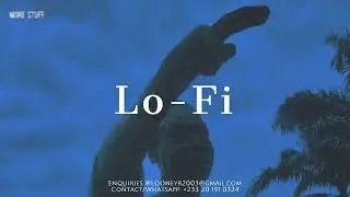 ''LOFI'' Lofi x Afrobeat type beat 2024