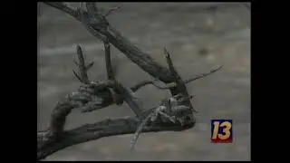 Lost Cabin Fire: From My First Wildfire to Covering Major Blazes Nationwide (2002)