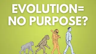 Does evolution entail that our lives have no ultimate meaning? #shorts #podcastclip #meaning