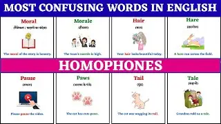 How to Never Mix Up These English Words Again | Homophones- Confusing Words | English One o One