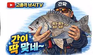 [실시간]  감성돔 카고낚시 맛집!!(빅 피싱)