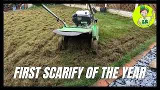 First lawn scarification of the year