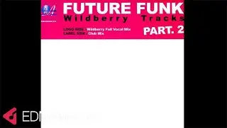 Future Funk - Wildberry Tracks (Wildberry Full Vocal Mix) (2005)