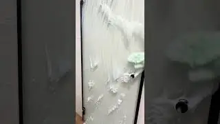 🧼🚿 Bathroom & Toilet Transformation ✨ #cleaning