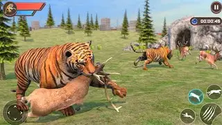 Virtual Tiger Simulator || Animal Games Android Gameplay