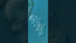 🔥under water for 30 years -20&deg;  #Awesomescience #Awesome 🏳️Go to details for ➕more
