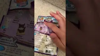 Opening kitty in my pocket blind bag!