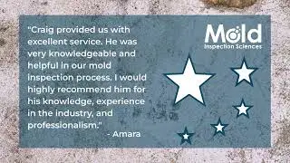 Why Industry Experience Matters Most in Professional Mold Inspections