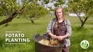 Growing Potatoes | Farmer's Garden | Washington Grown