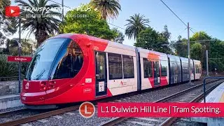 L1 Dulwich Hill Line | Tram Spotting @ Various Locations.
