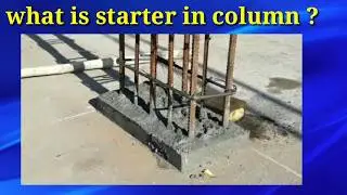 What is starter in column?
