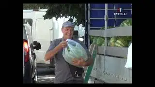 RTV Šumadija - Lubenica uvek najbolje osveženje