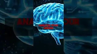 Get Deep Personality Insights: psychprofile.io's AI Process Explained.