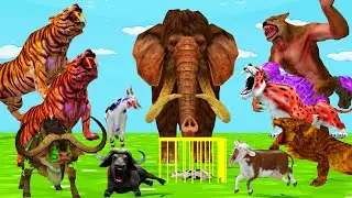 3 Giant Tiger vs 10 Buffalo Elephant Attack 3 Zombies Buffalo Saved By Monster Woolly Mammoth