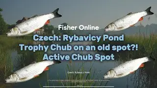 Трофейный голавль на старом месте?! 🎣 Чехия: пруд Рывабицы | Fisher Online