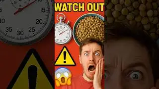 🚨 Never Eat Lentils Until You Know This...