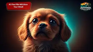 Best OTC Flea Treatment for Dogs 2025: Effective and Affordable Flea Solutions 🐾