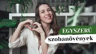5 legjobb szobanövény kezdőként » I. rész | Herczeg Hajni